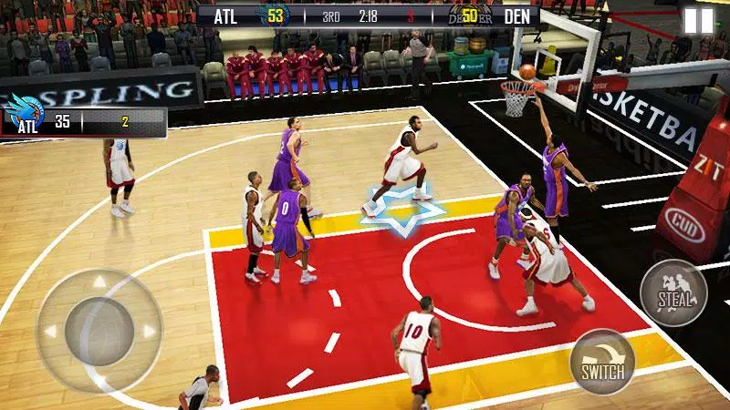 Fanatical Basketball Captura de tela 1