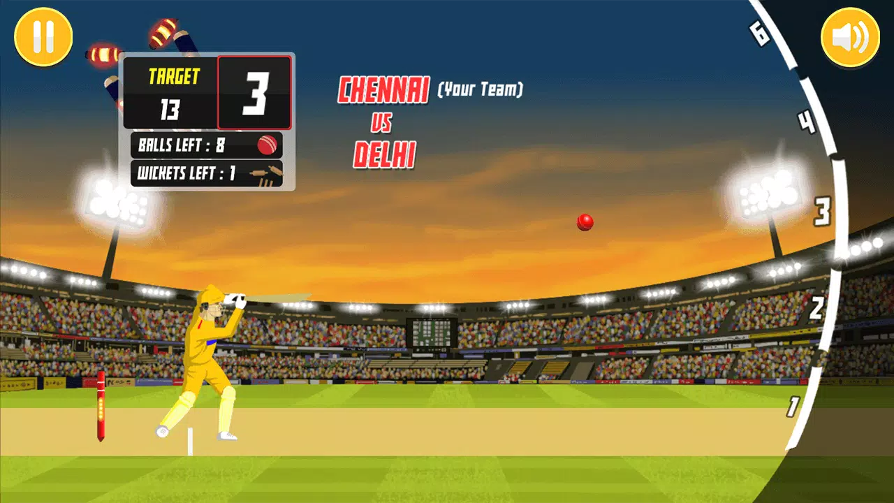 City Cricket Game Captura de pantalla 1