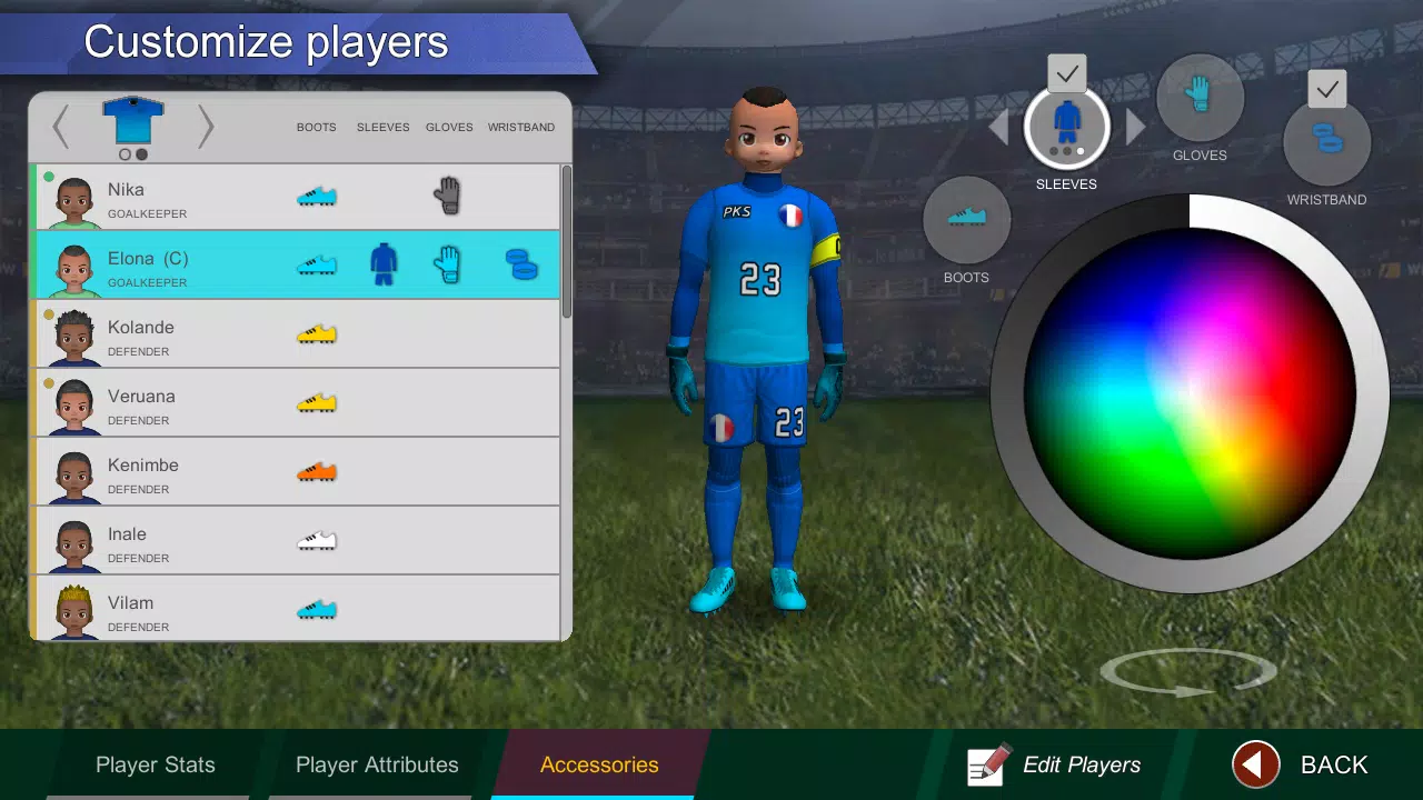 Pro Kick Soccer Captura de tela 3