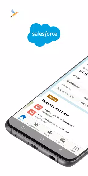 Salesforce Ekran Görüntüsü 0