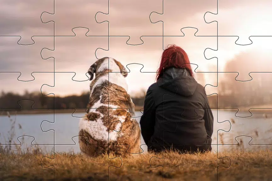 Jigsaw puzzle without internet Captura de tela 3