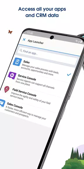 Salesforce Ekran Görüntüsü 3