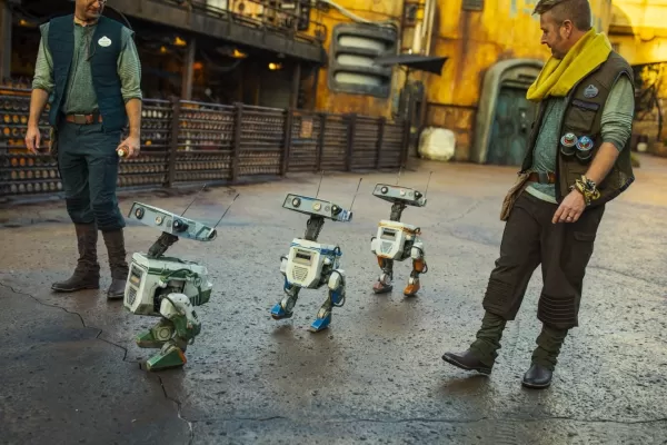 Ang imahe ng Bdx Droids
