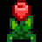 Tulpenhonig