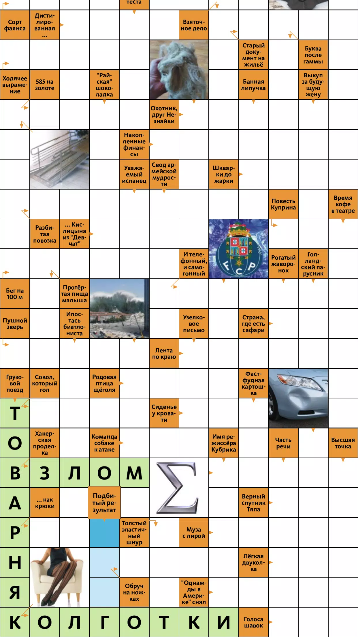 Сканворд.ру журнал Screenshot 0