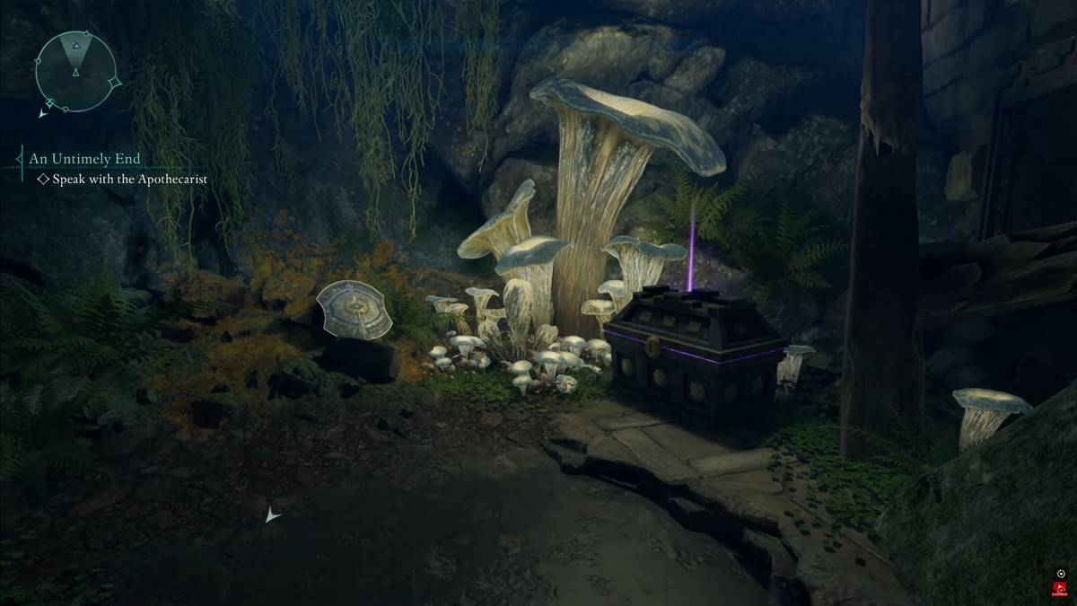 Avowed: Descubra os Tesouros do Capitão Henqua